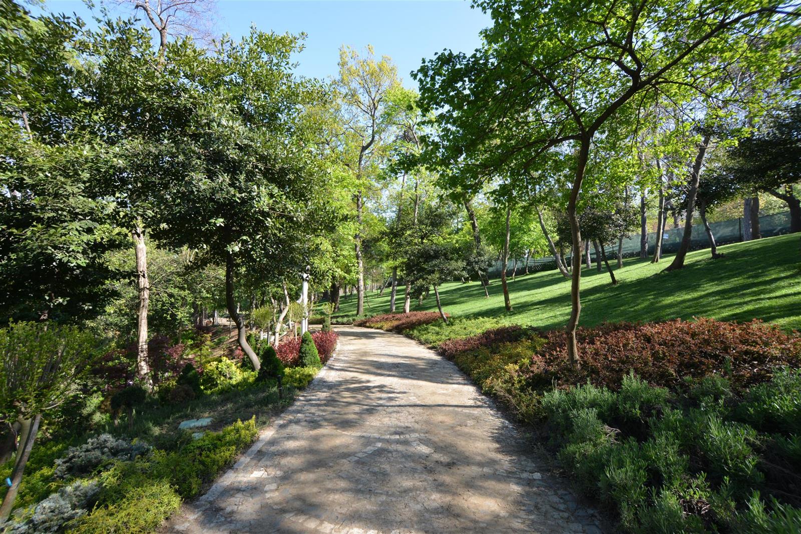 İstanbul geneli yeni yeşil alanların yapımı işi