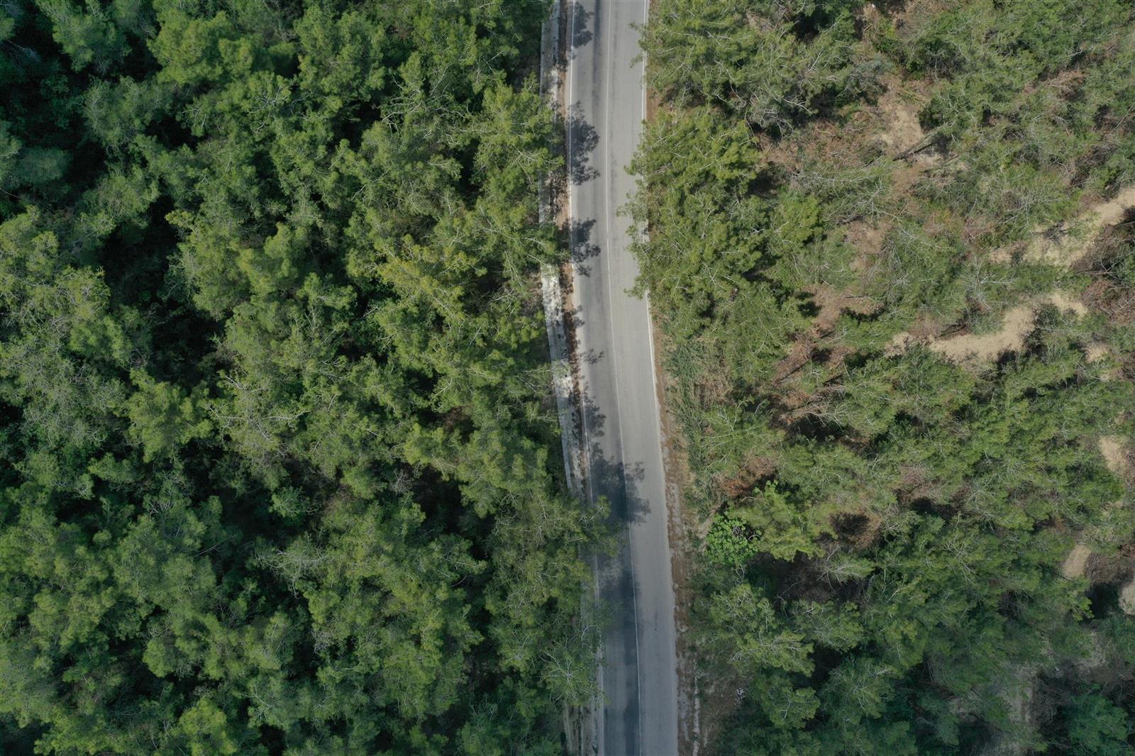 Adana Büyükşehir Belediyesi Sınırları İçerisinde Toprak İşleri Sanat Yapıları Üst Yapı (Alttemel, Temel, Sathi Kaplama, Bsk) Onarımı ve Yapımı İşi